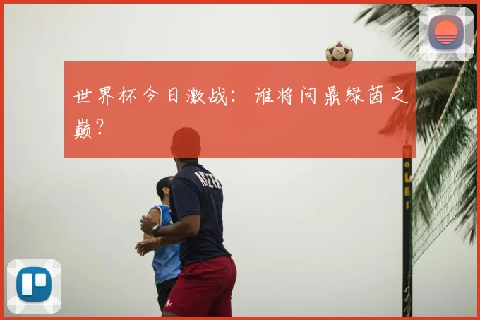 世界杯今日激战:谁将问鼎绿茵之巅?