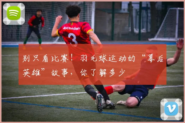 别只看比赛!羽毛球运动的“幕后英雄”故事,你了解多少