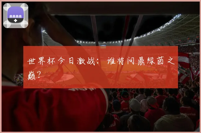 世界杯今日激战：谁将问鼎绿茵之巅？